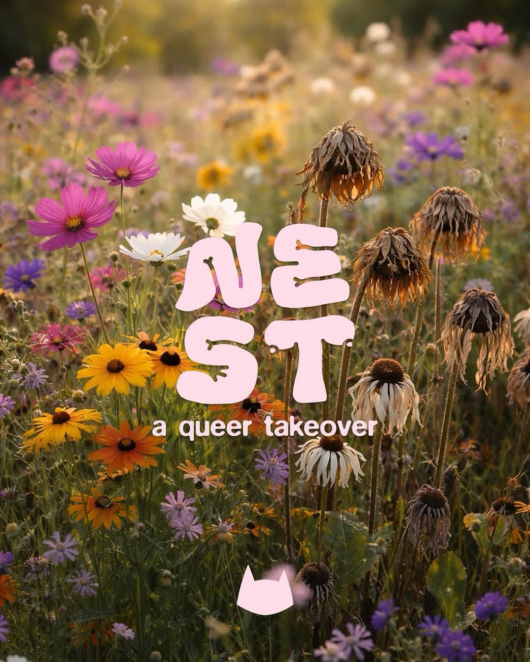 Kater x NEST