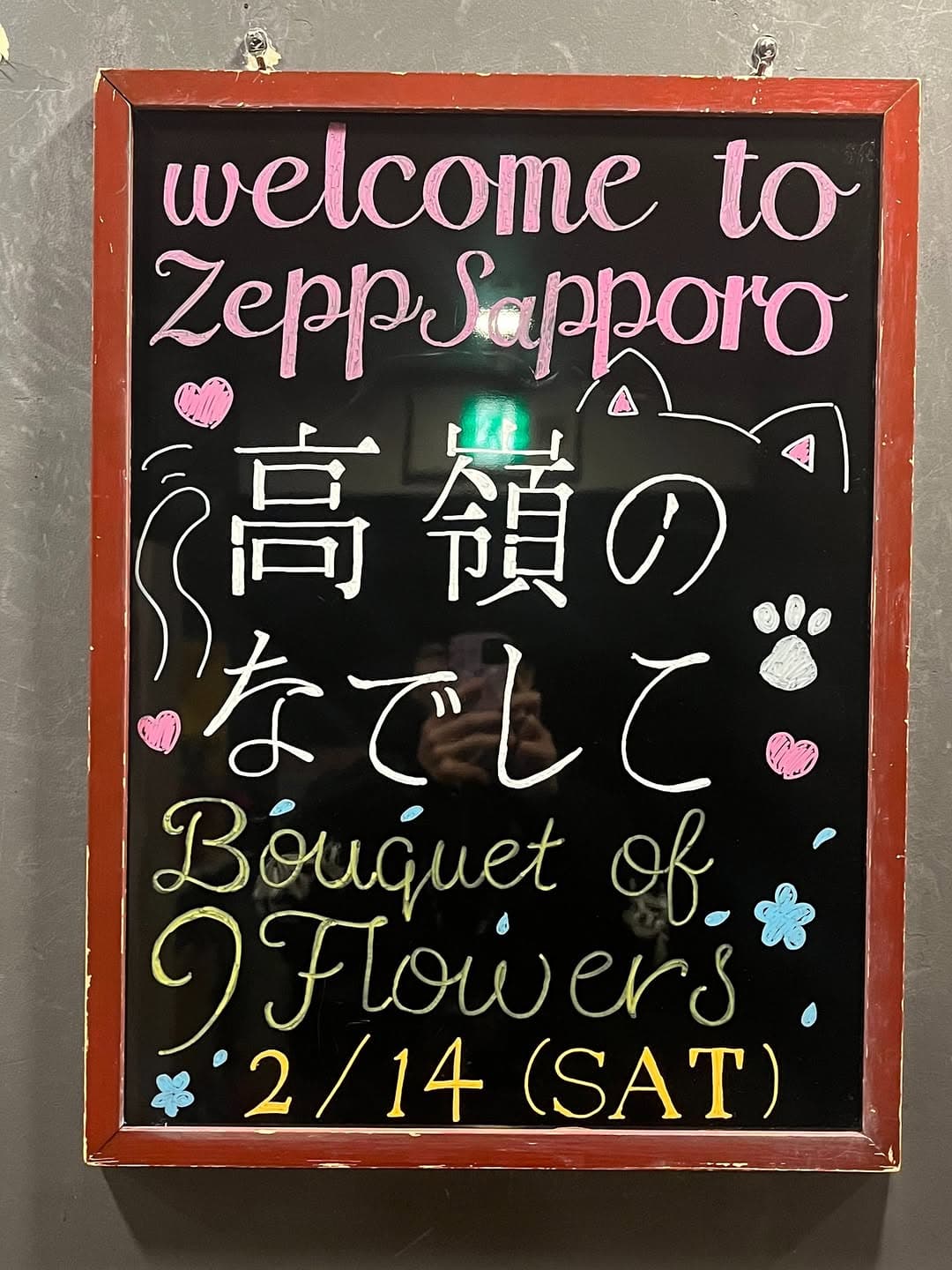 高嶺のなでしこ Live Tour - Bouquet of 9 Flowers -