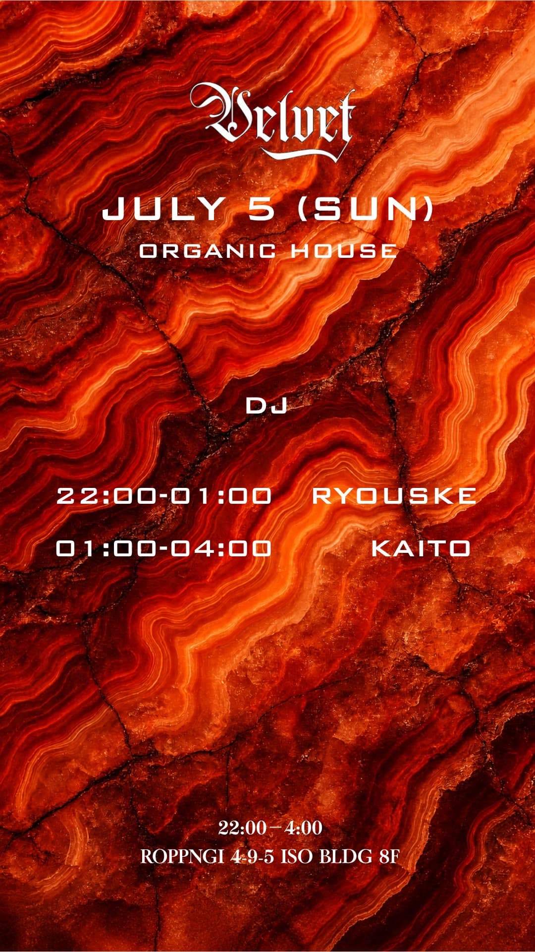 VELVET Lounge -Organic House-