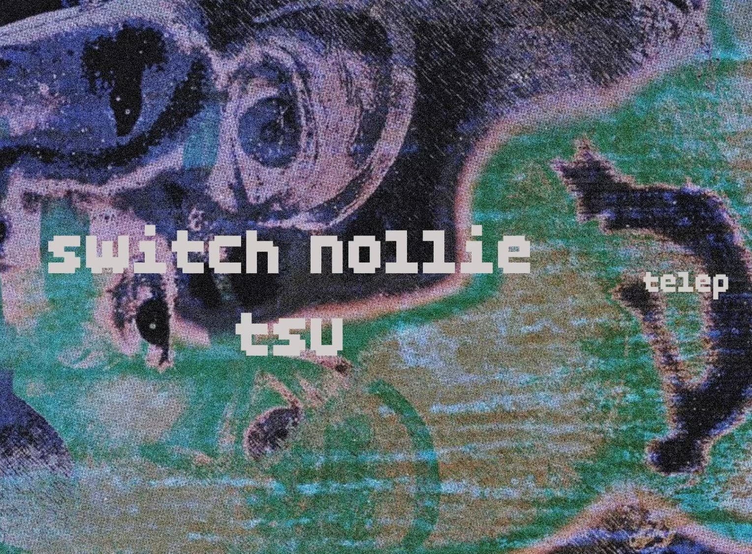 Switch Nollie & Tsu daytime