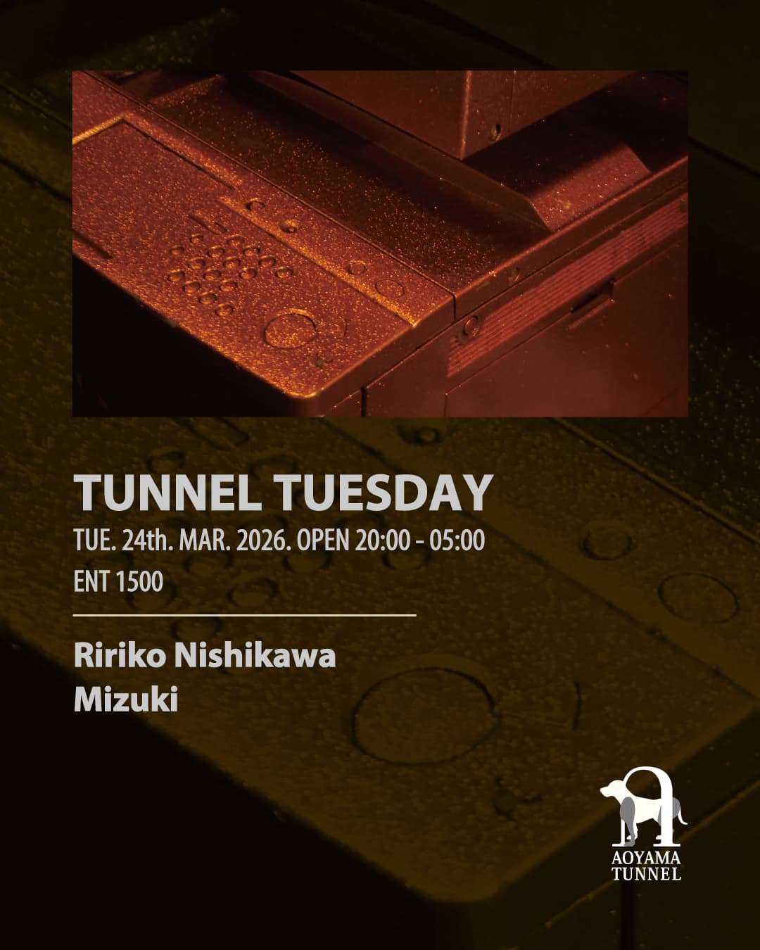 TUNNEL TUESDAY