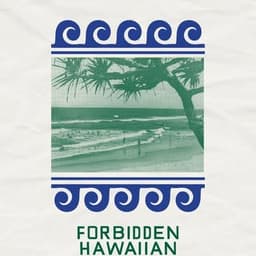 Forbidden Hawaiian Sound Service