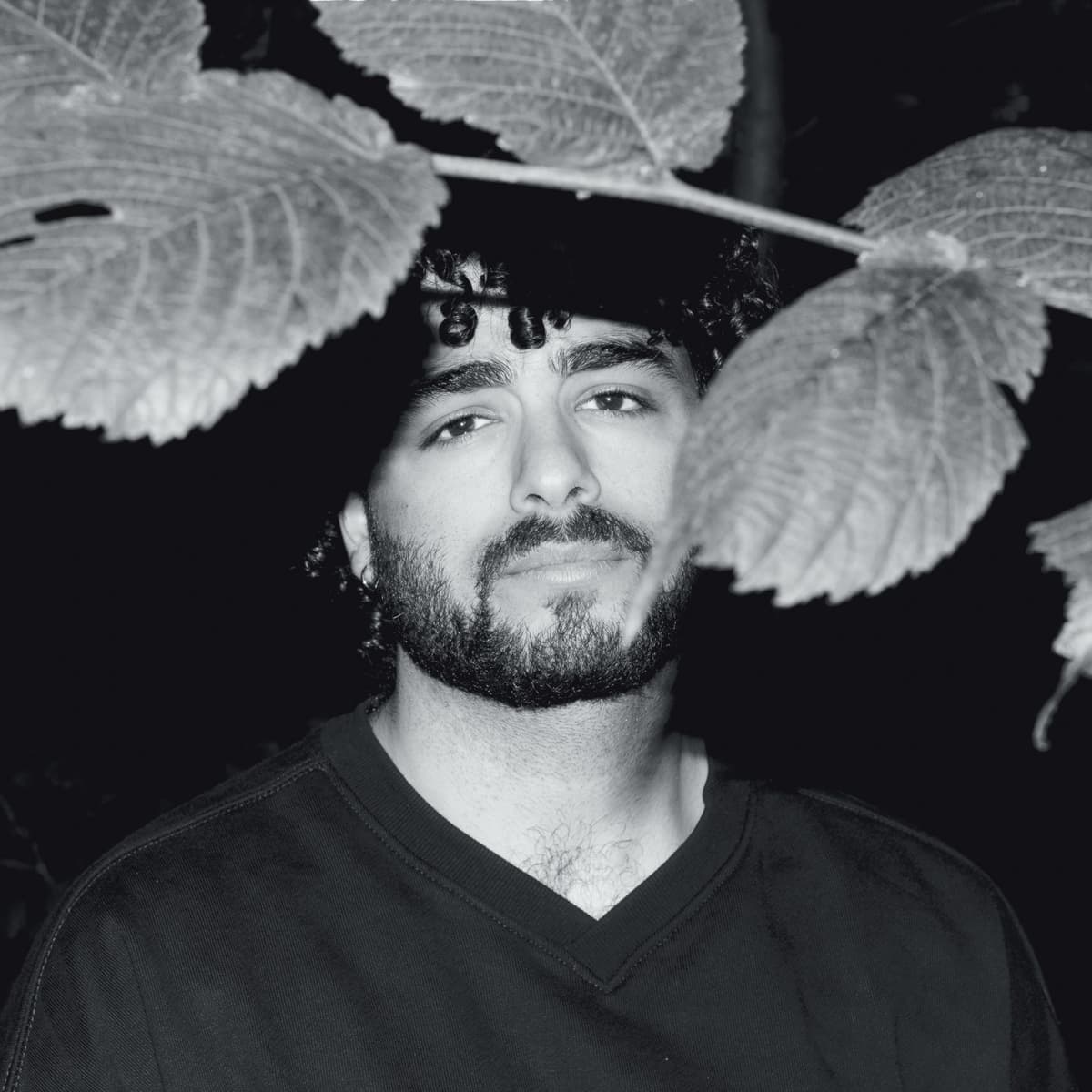 Fafi Abdel Nour