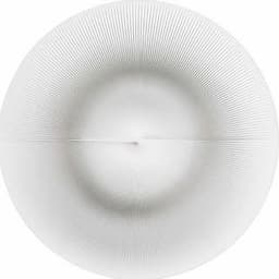 Moli