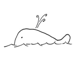 You, Me + The Whales