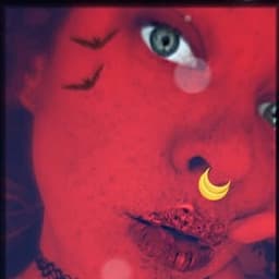 DVBlicious
