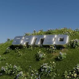 Sateo______