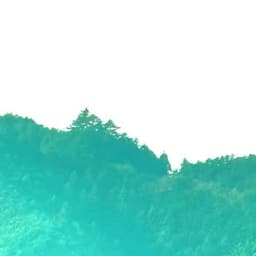 soju