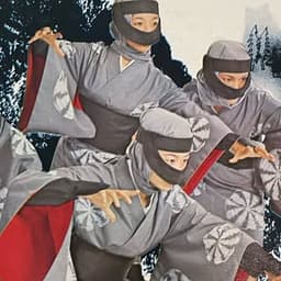 機他