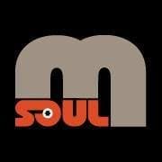 Magnetic Soul