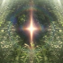 Tyler Ov Gaia