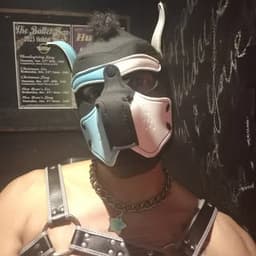 Pup Novicat