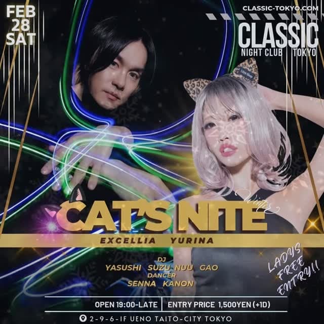 CATS NITE