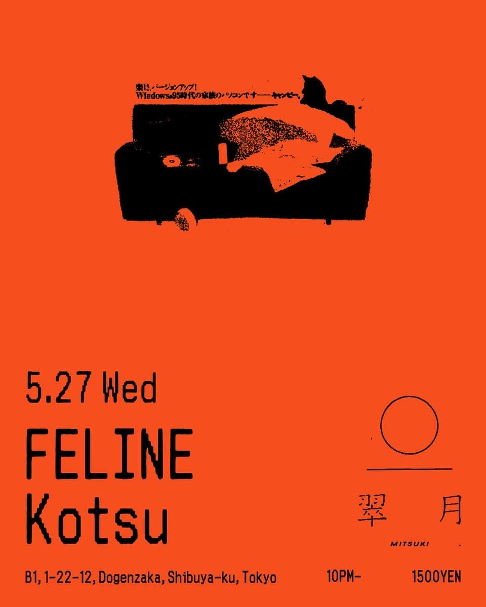 FELINE/KOTSU