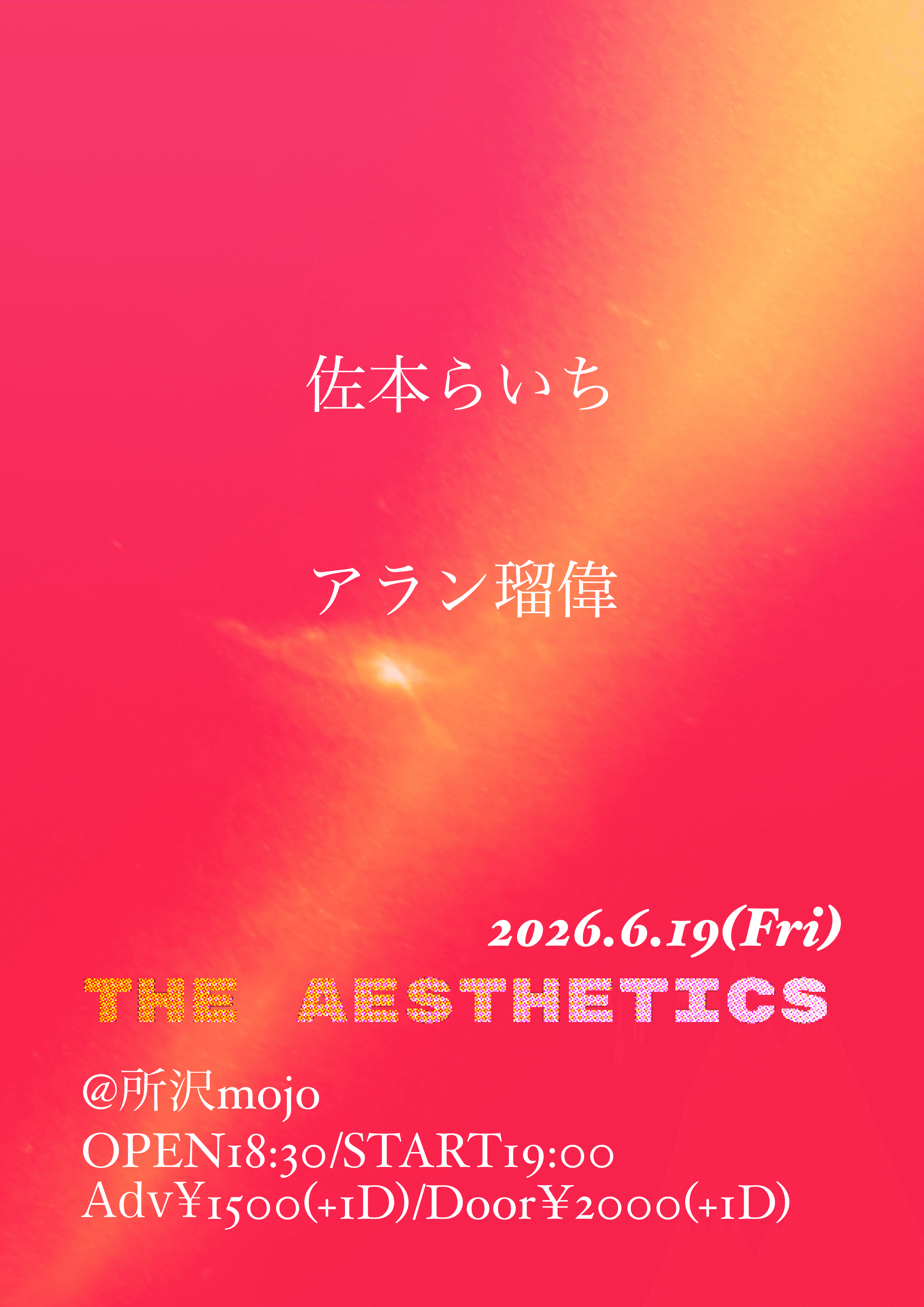 THE AESTHETICS