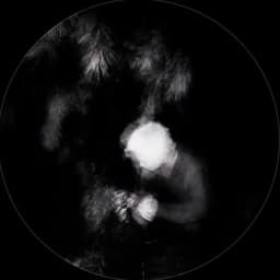 The Moratorium Atomic Nucleus