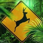 ¥ellow Bucks