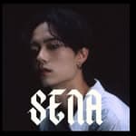 DJ SENA