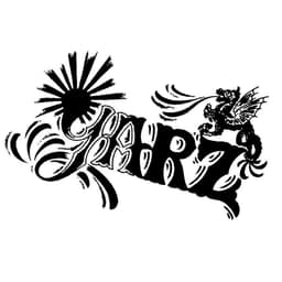YARZ info