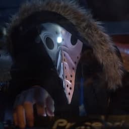 241