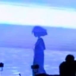 Telematic Visions × inaharu