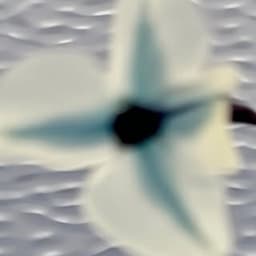 Unheadmusicinear