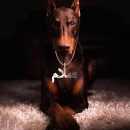 KUNI