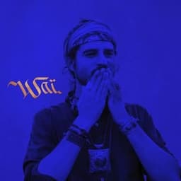 WAI