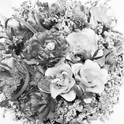 Hatsue Inoue